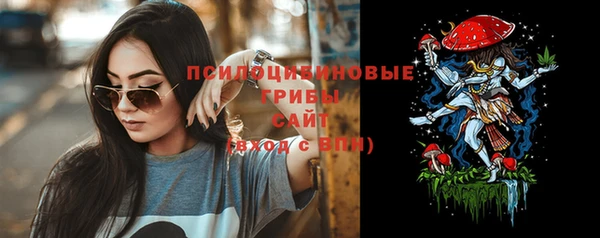мдпв Рославль