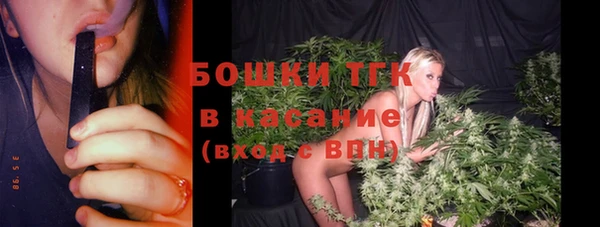 мдпв Рославль
