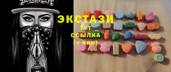 мдпв Рославль