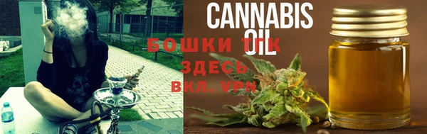 мдпв Рославль