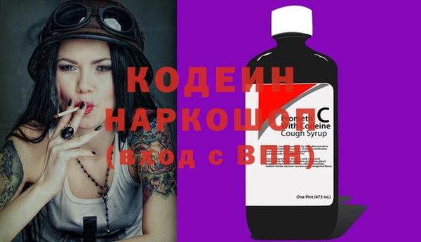 мдпв Рославль