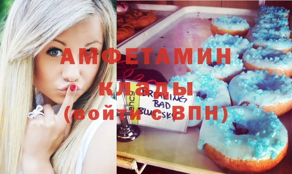 мдпв Рославль