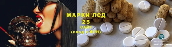 мдпв Рославль