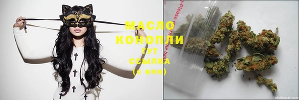 крисы Ростов