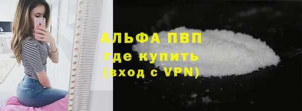 крисы Ростов