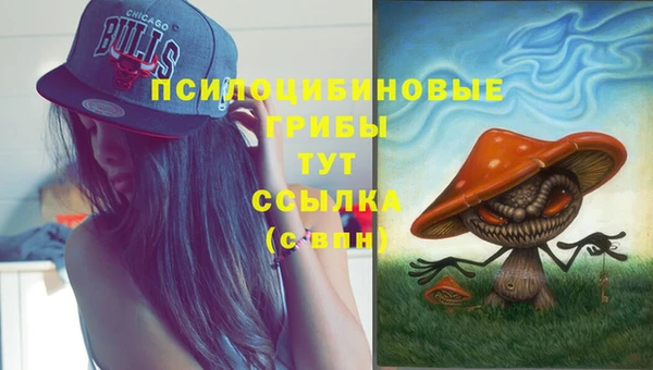 крисы Ростов
