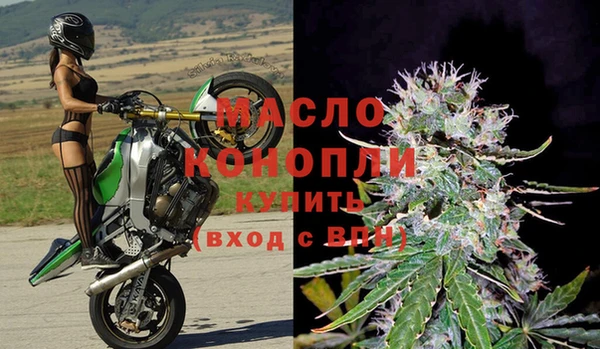 крисы Ростов