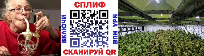 Купить закладки  Старица  Бошки Шишки White Widow 